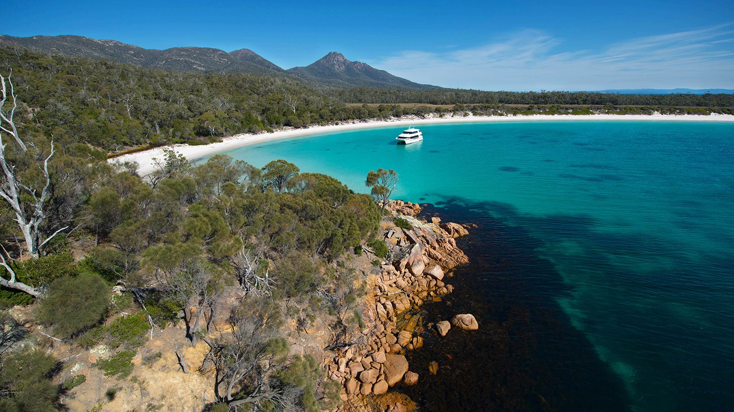 Half-Day Scenic Cruise from Coles Bay to Wineglass Bay with Lunch 6