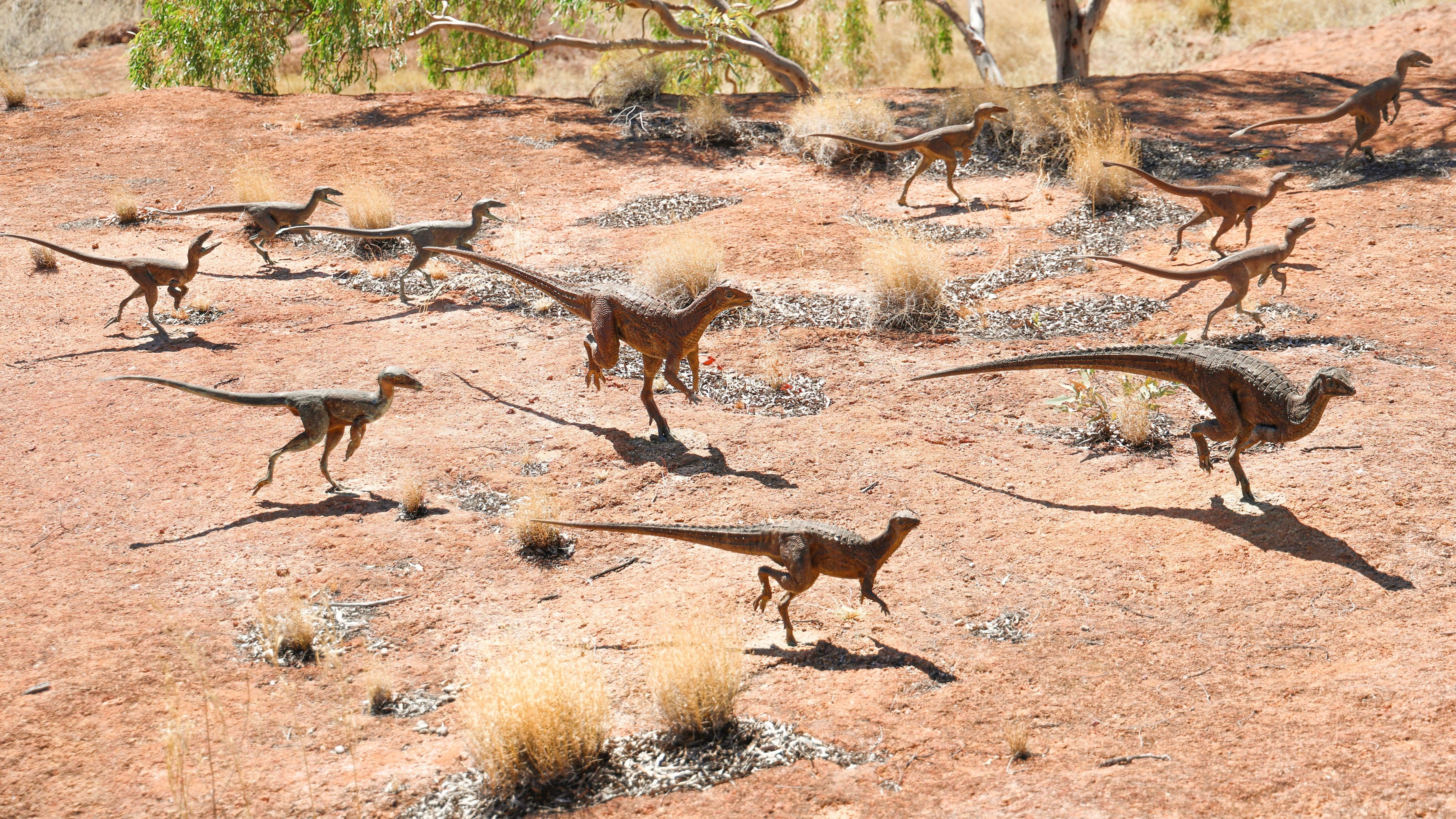 30-Minute Helicopter Ride and Half-Day Australian Age of Dinosaurs Museum Tour 2