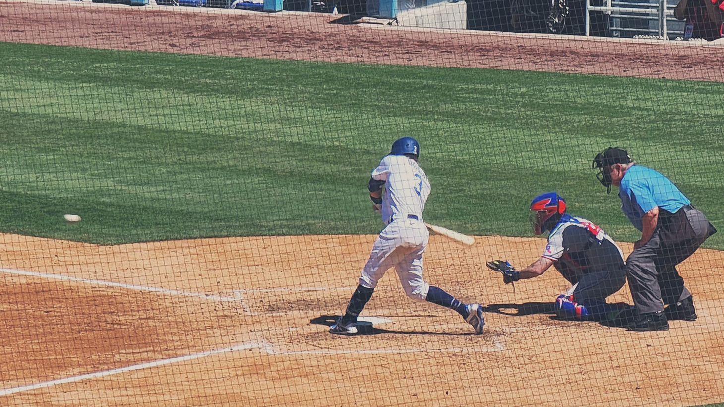 Witness an Los Angeles Dodgers Major League Baseball Game at Dodger Stadium 6