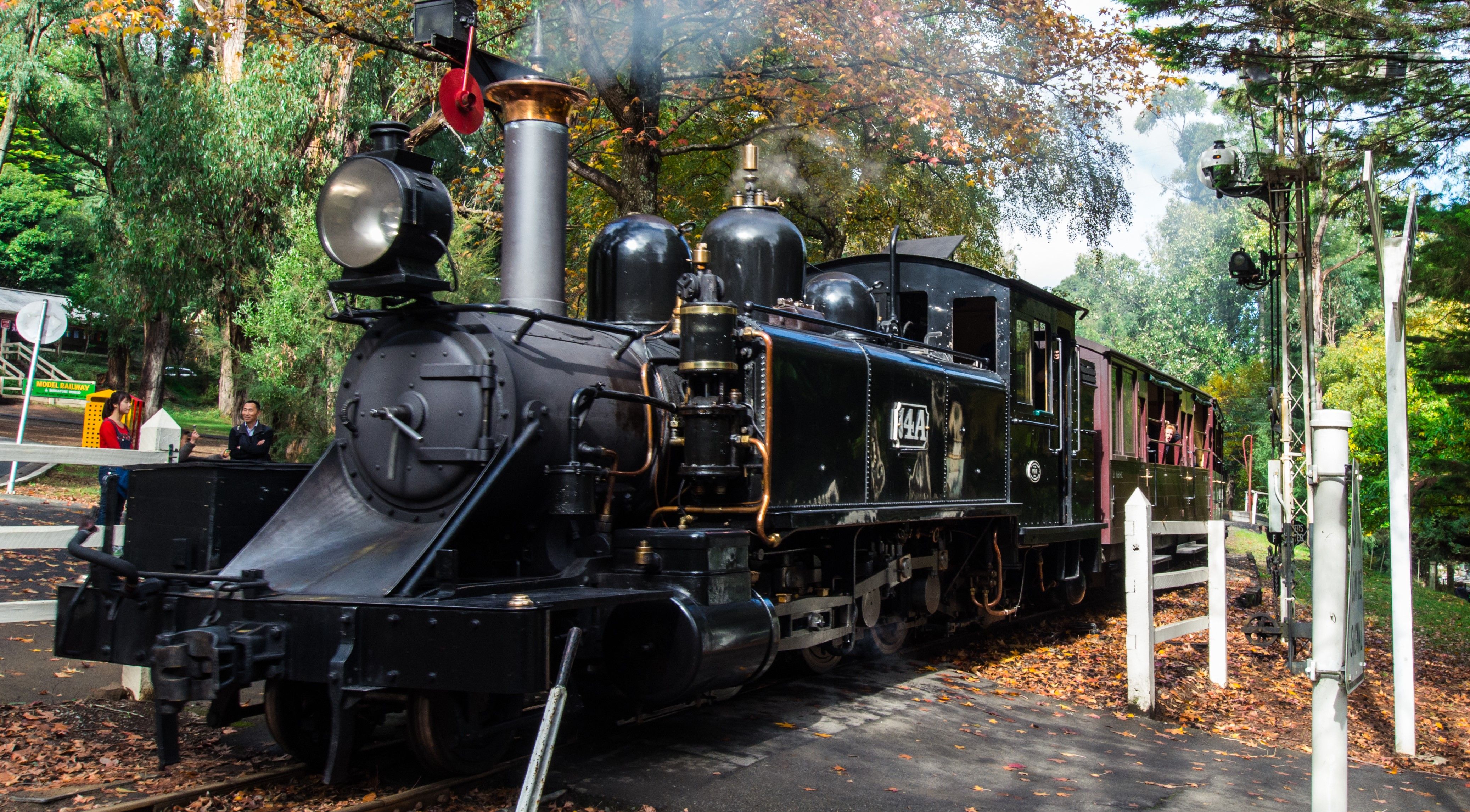 Full-Day Puffing Billy & Healesville Sanctuary Scenic Tour 1