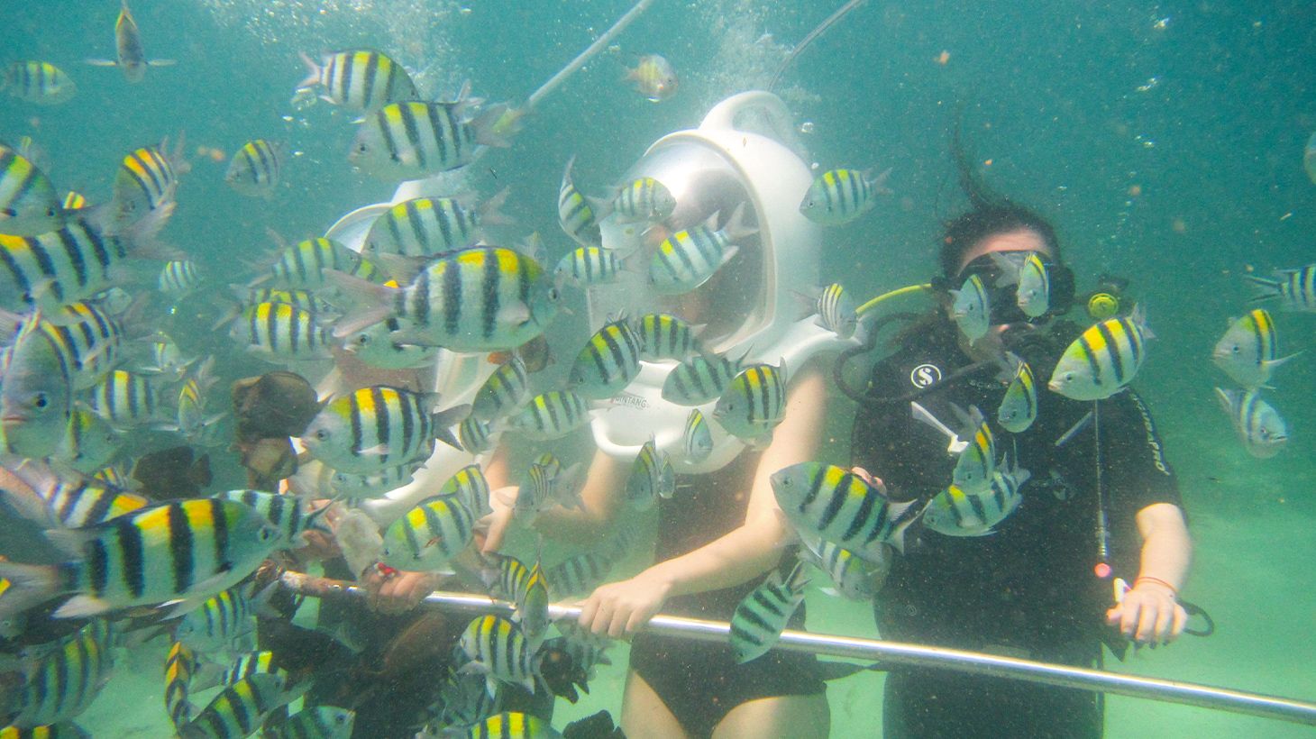 Half-Day Watersports Package with Fly Boarding, Sea Walker Experience, Doughnut Boat Ride & Private Hotel Transfers 4