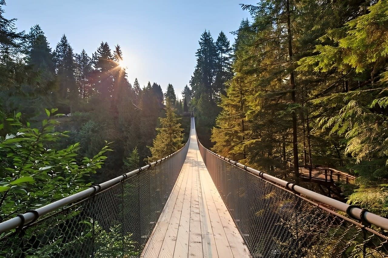 Vancouver City Highlights Full-Day Guided Tour 2