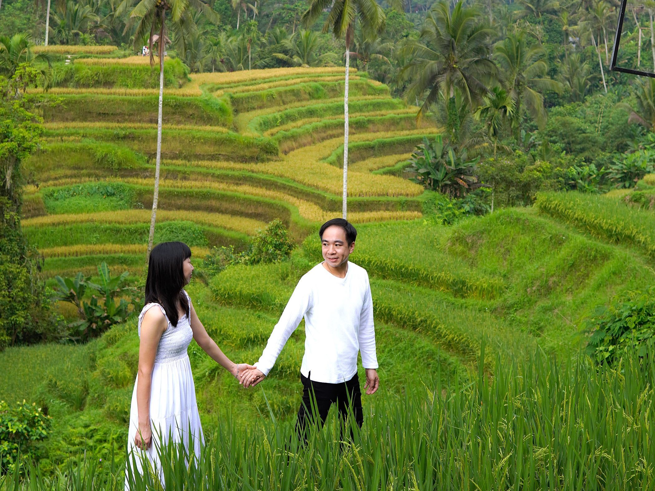 Explore Ubud: Rice Terrace, Temple & Waterfalls Private Tour