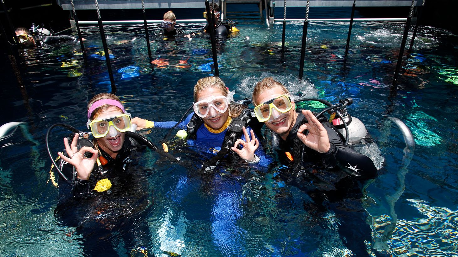 Full-Day Outer Barrier Reef Snorkelling Tour with All Equipment & Tropical Lunch 6