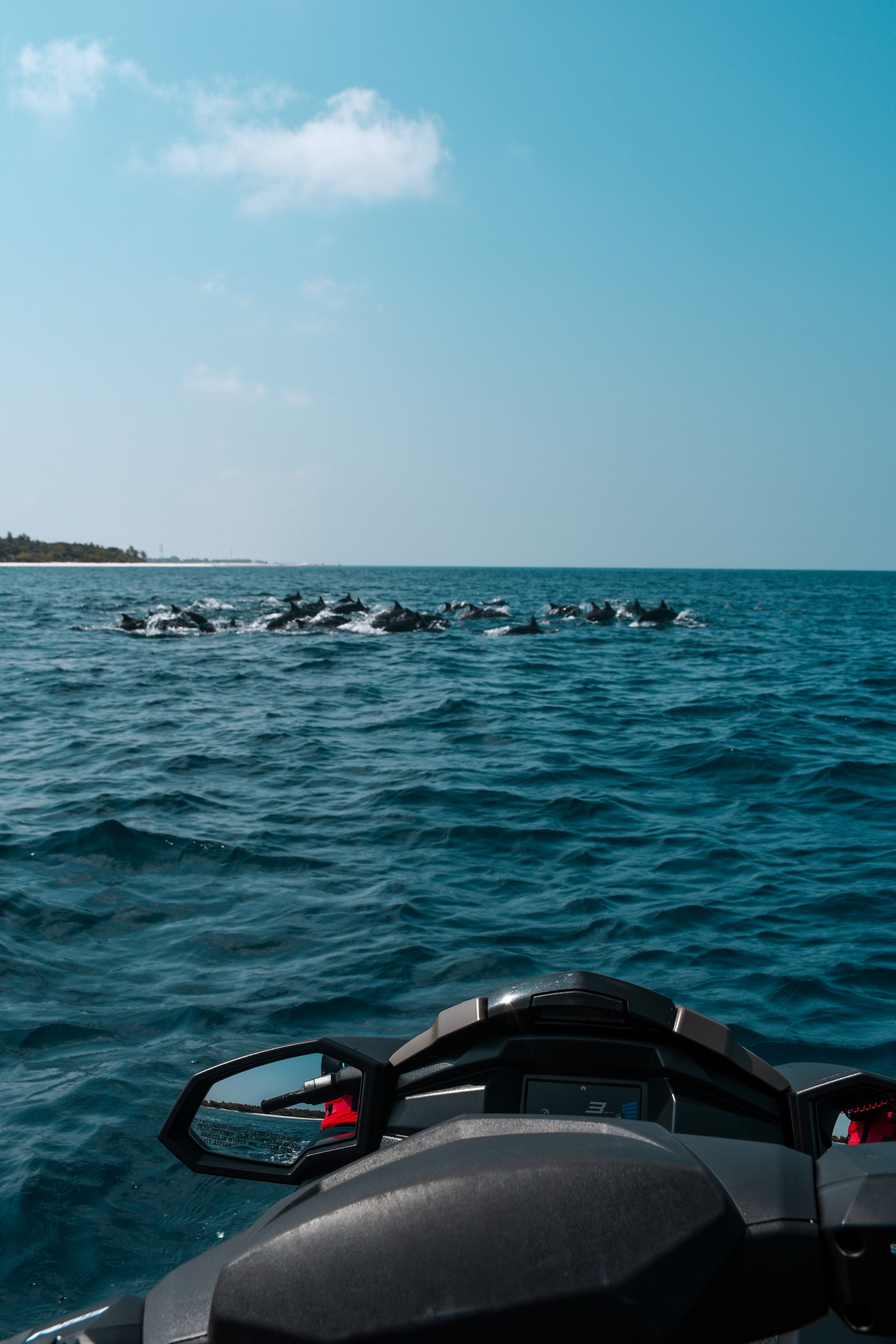 One-Hour Guided Jet Ski Dolphin Encounter from Ifuru Island in the Maldives 2