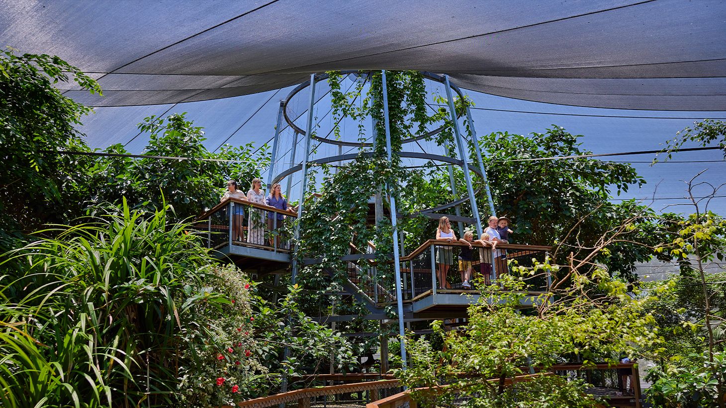 Admission to Award-Winning Australian Wildlife Habitat Sanctuary in Port Douglas 4