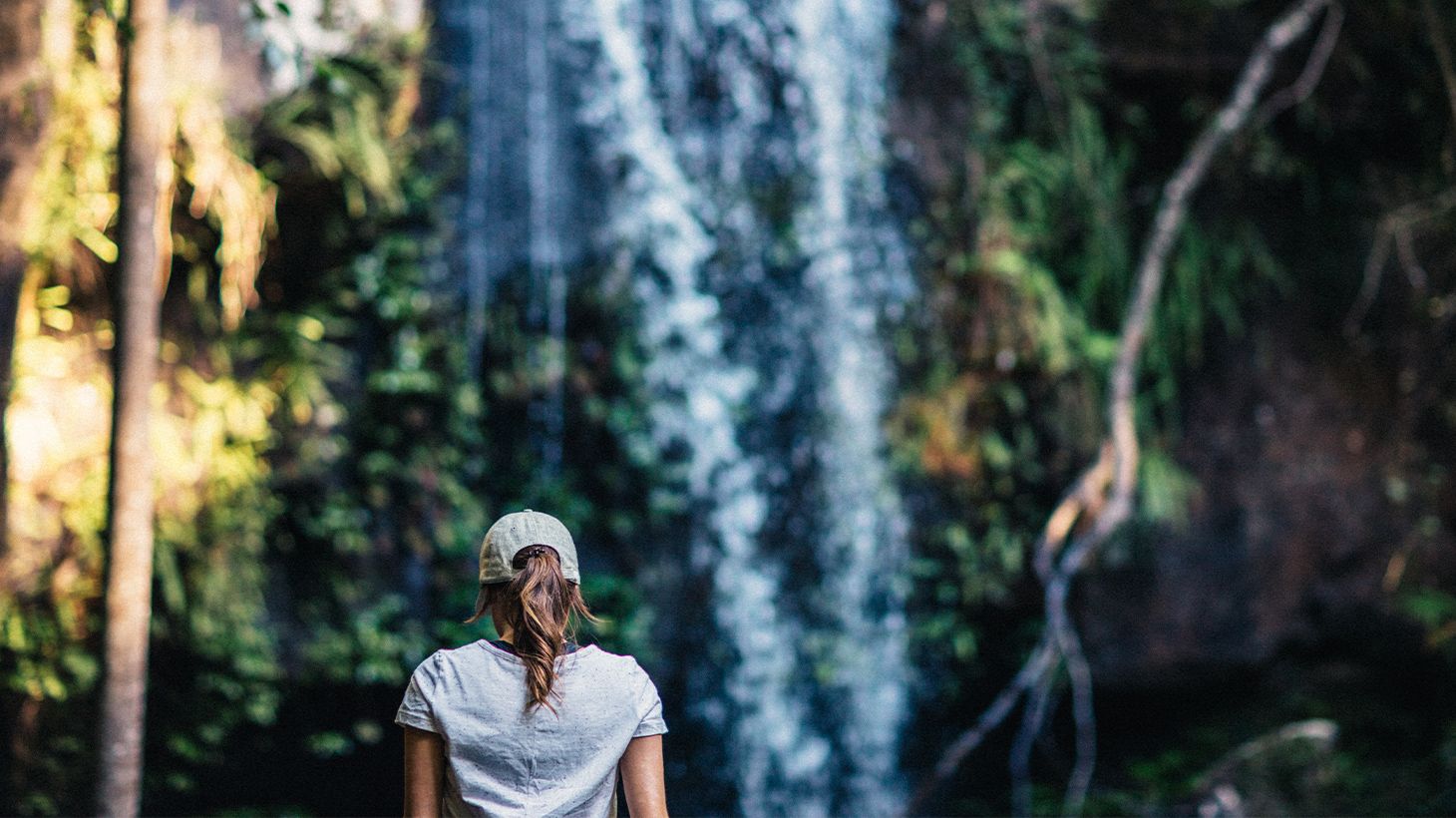 Full-Day Tastes of Tamborine Mountain Guided Tour with Lunch, Distillery Tour & Tasting 4