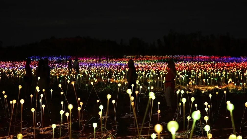 4,5-stündiges Field of Light-Dinner mit Drei-Gänge-Buffet und Sternebeobachtung 1