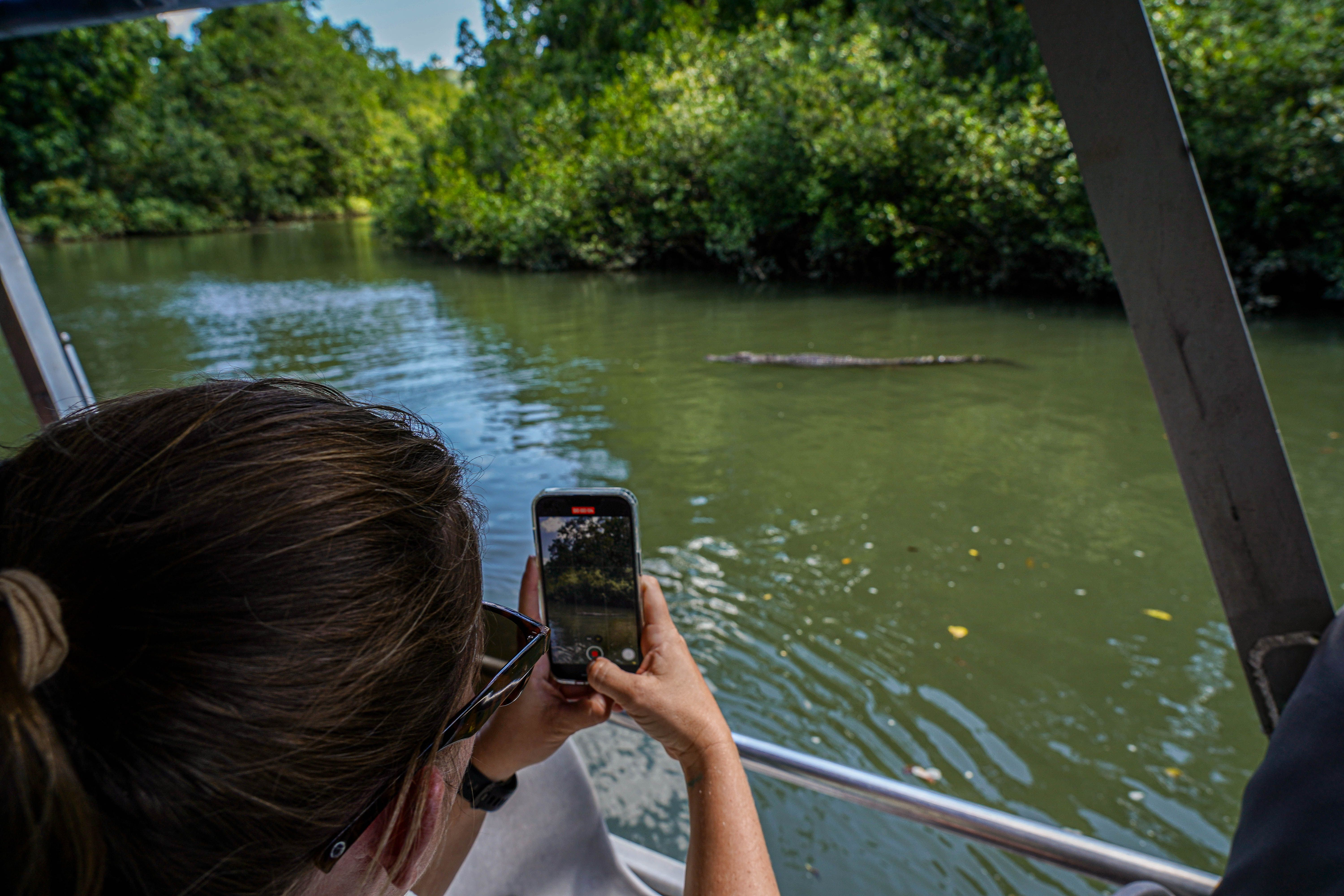 Full-Day Total Daintree Experience with Morning Tea, Lunch & Return Port Douglas Transfers 6