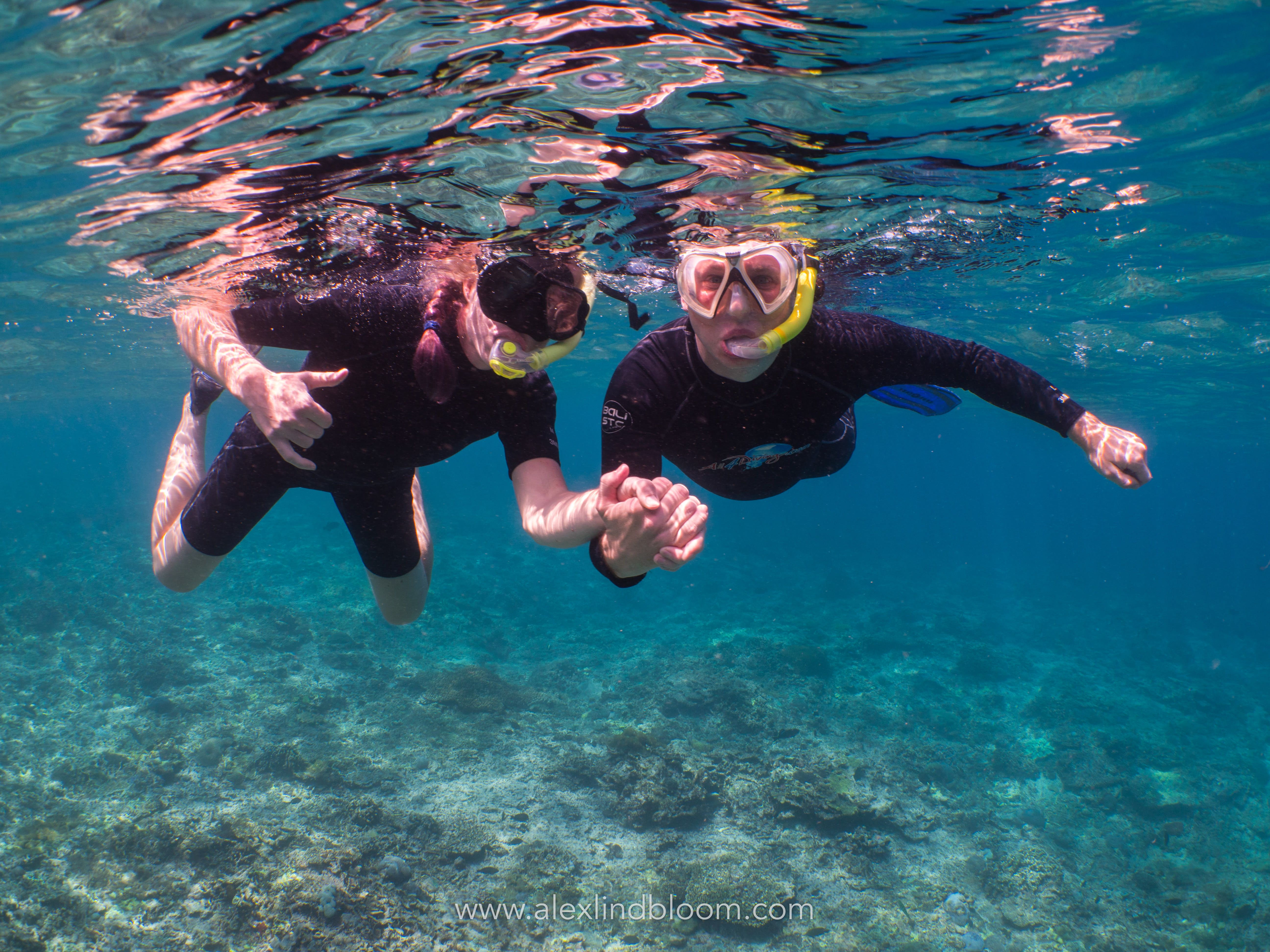Tropical Escape: Snorkeling Trip in Padang Bai with PADI 5* Center
