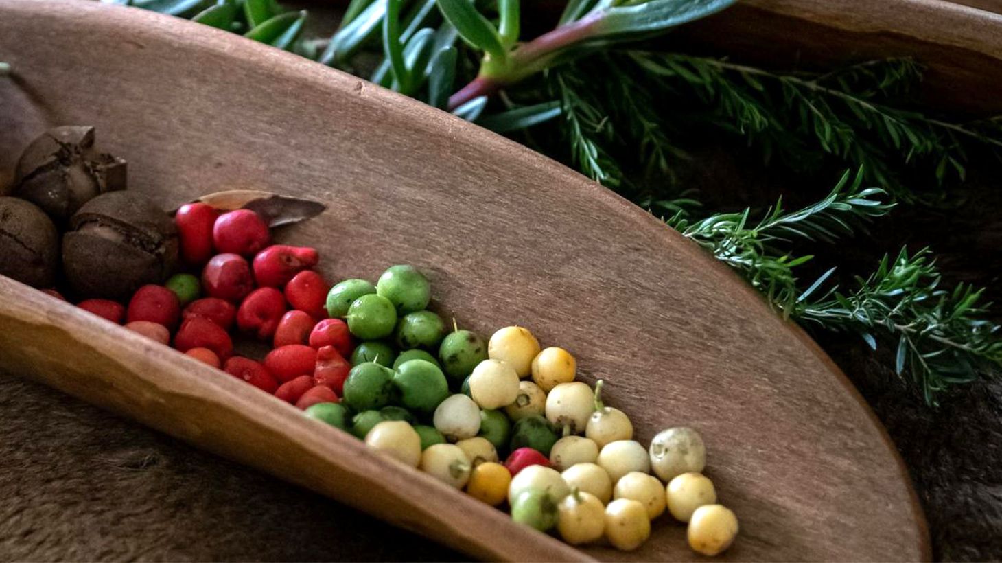 90-Minute Cape Byron Aboriginal Culture Guided Walking Tour with Bush Tucker Tasting 3