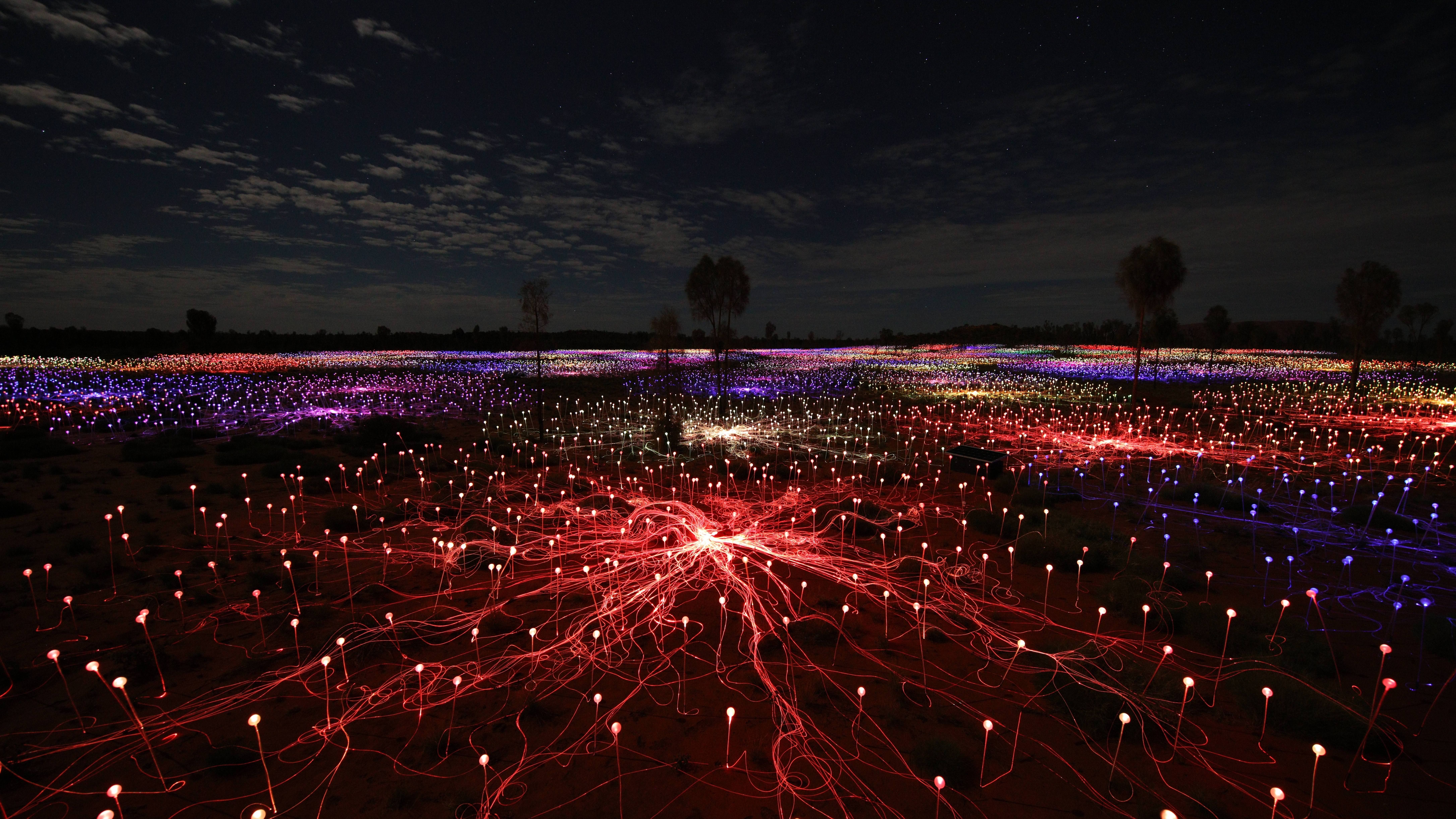 Eintritt zu Field of Light nach Einbruch der Dunkelheit inklusive Rücktransfer 5