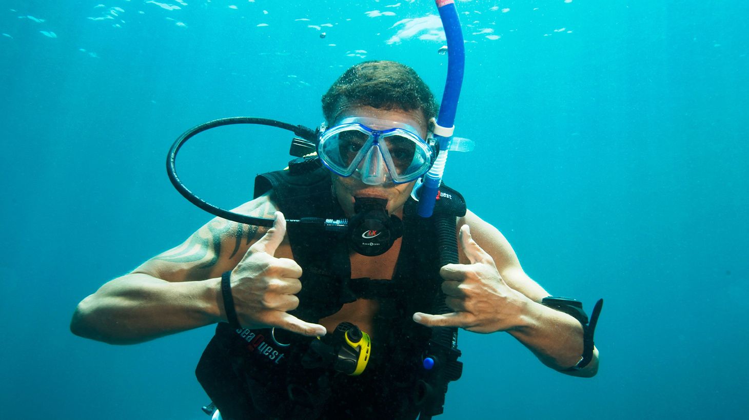 Full-Day Moreton Island Tangalooma Shipwrecks Scuba Diving Tour with All Equipment & Return Ferry Transfers