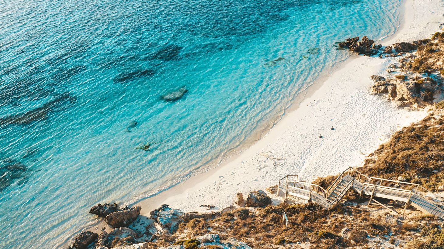 Explore the Wonders of Rottnest on a Two-Hour Eco Walking Tour 2