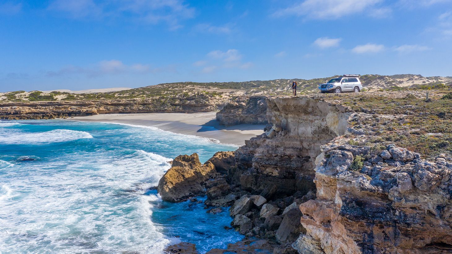 Full-Day 4WD Seafood & Wildlife Guided Tour with Picnic Lunch & Transfers