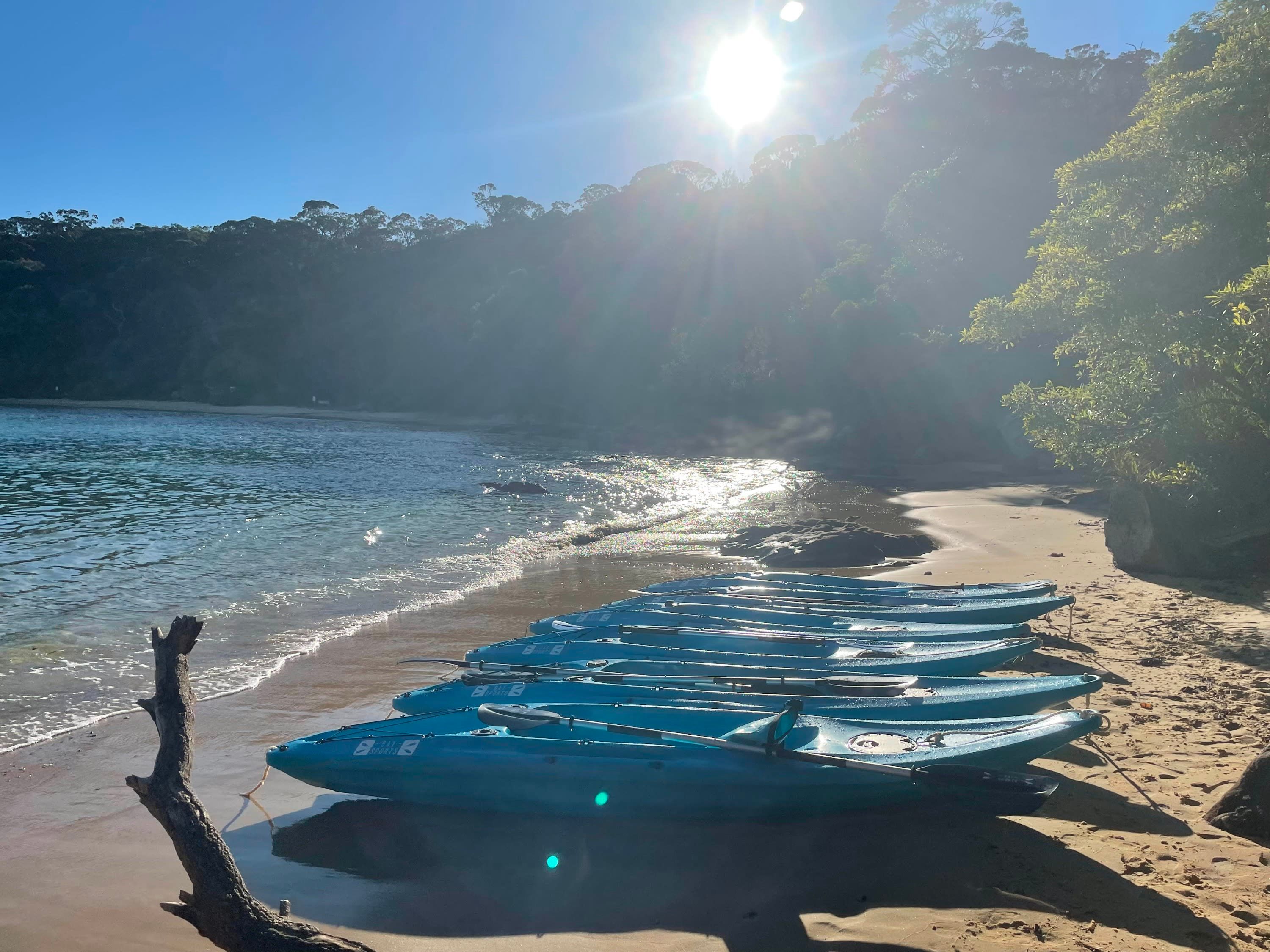 Manly Guided Kayak Tour 3