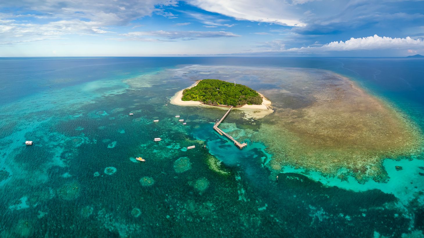 Full-Day Green Island Eco Adventure with Snorkelling or Glass Bottom Boat Tour