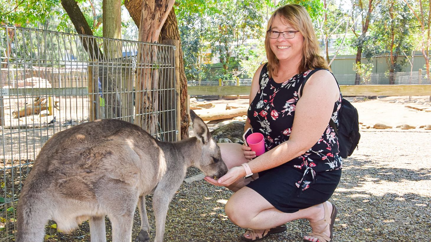 Full-Day Blue Mountains Tour with Featherdale Wildlife Park Visit, River Cruise & Three Scenic Rides 4