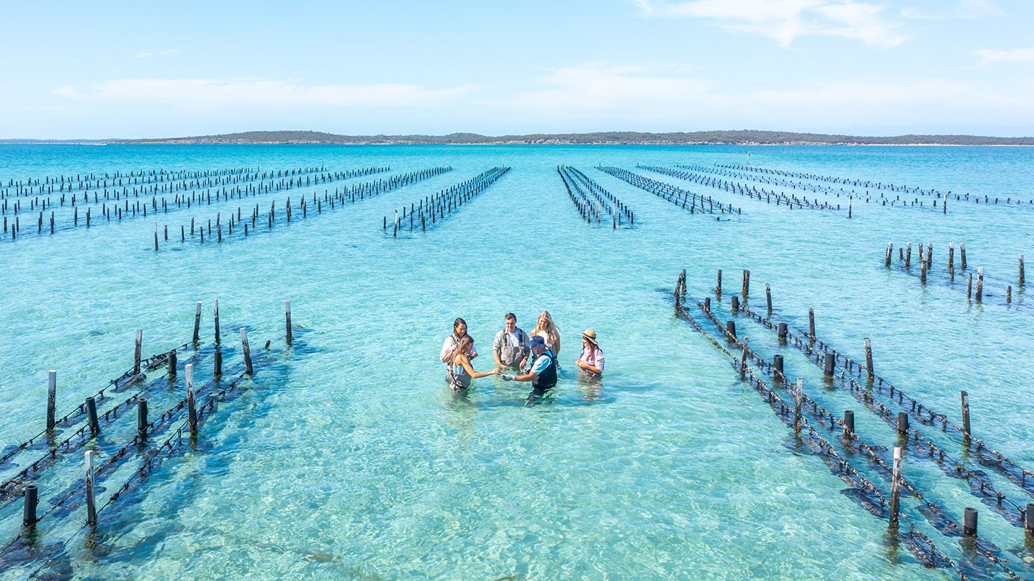 Full-Day Oysters, Ocean & Nature Tour with Tastings & Return Transfers 4