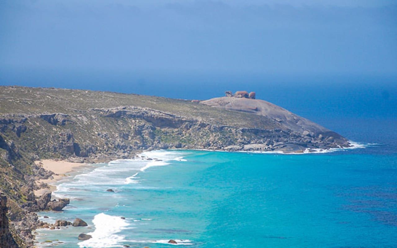 Kangaroo Island Full-Day Wildlife & Sightseeing Tour