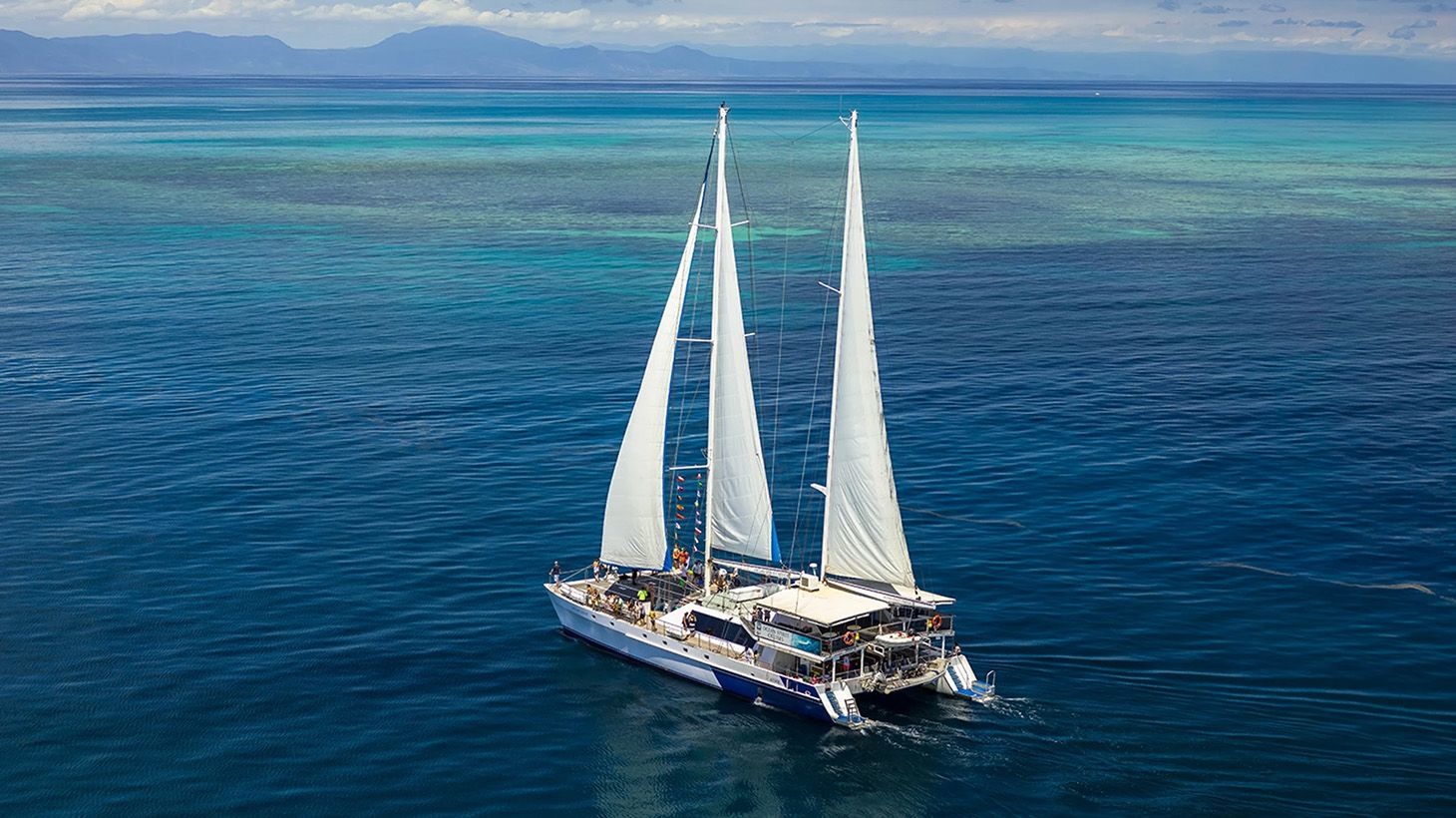 Full-Day Cruise to Michaelmas Cay with Buffet Lunch, Sparkling Wine & Snorkelling