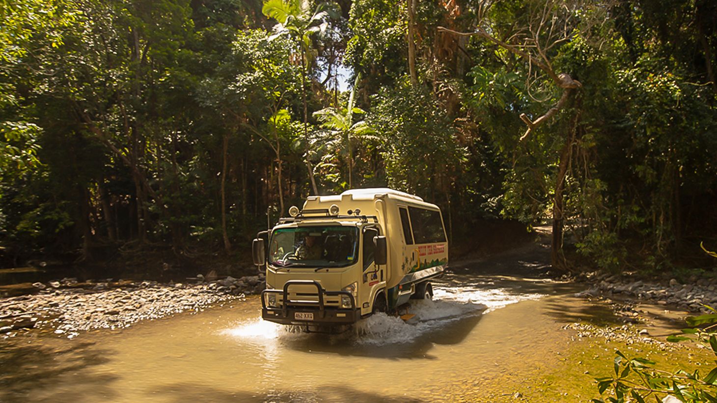 Full-Day World Heritage Highlights Tour with Helicopter Flight, Daintree River Cruise & Lunch 3