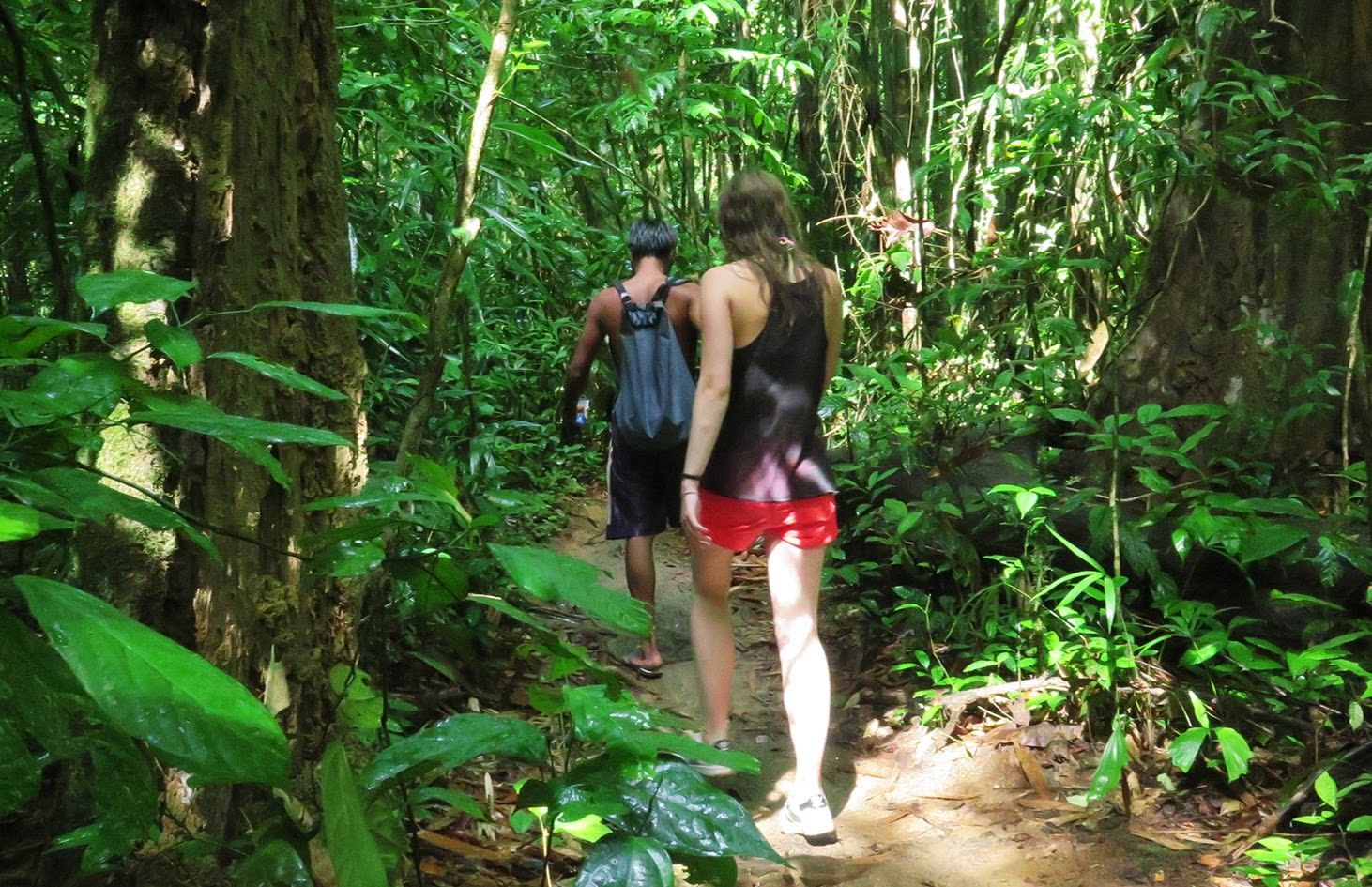 Krabi Khao Sok National Park 2-Day Guided Safari