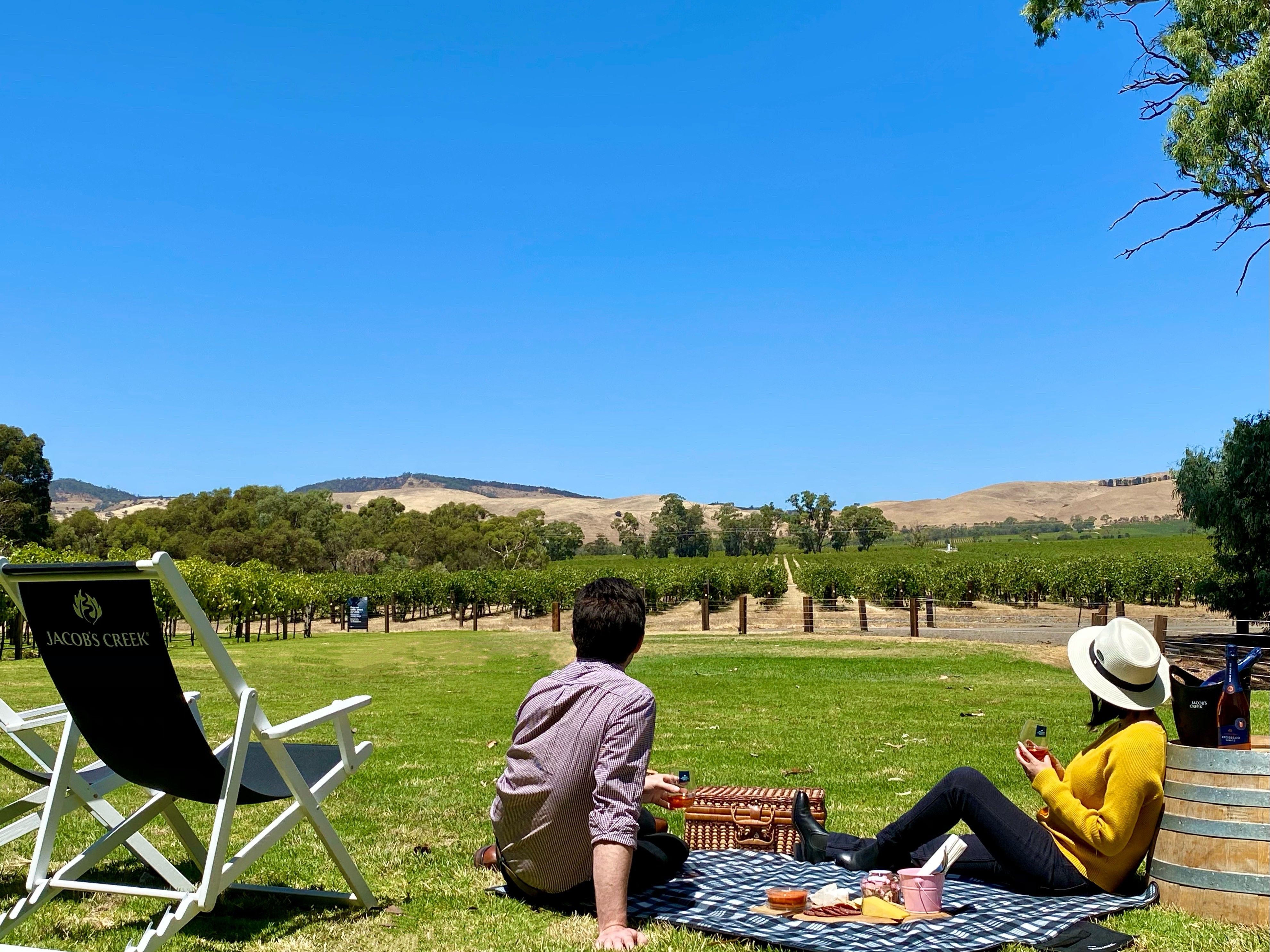 Two-Hour Picnic Experience with Locally Sourced Food & Bottle of Wine to Share at Jacob’s Creek Estate