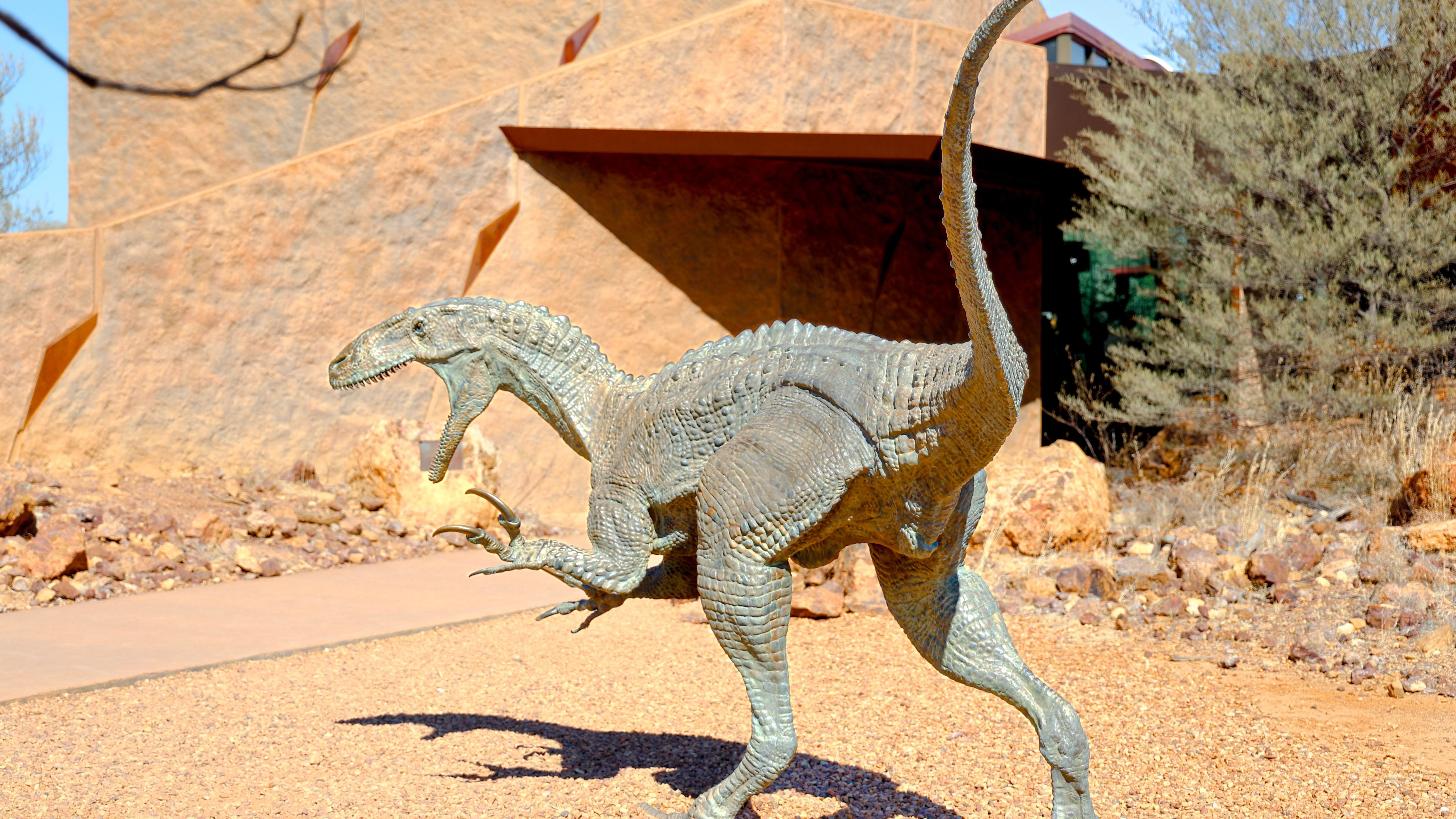 30-Minute Helicopter Ride and Half-Day Australian Age of Dinosaurs Museum Tour 3