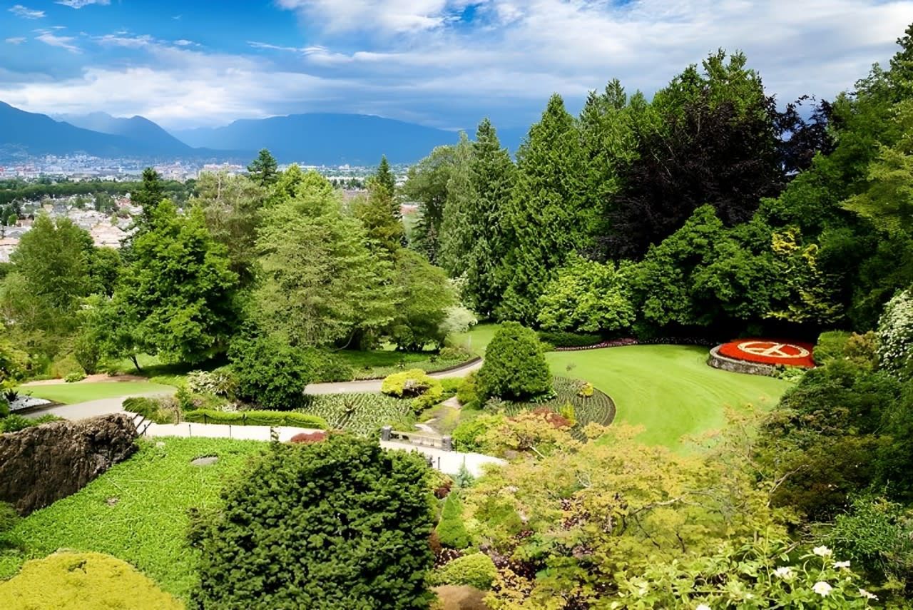 Vancouver City Highlights Full-Day Guided Tour 4