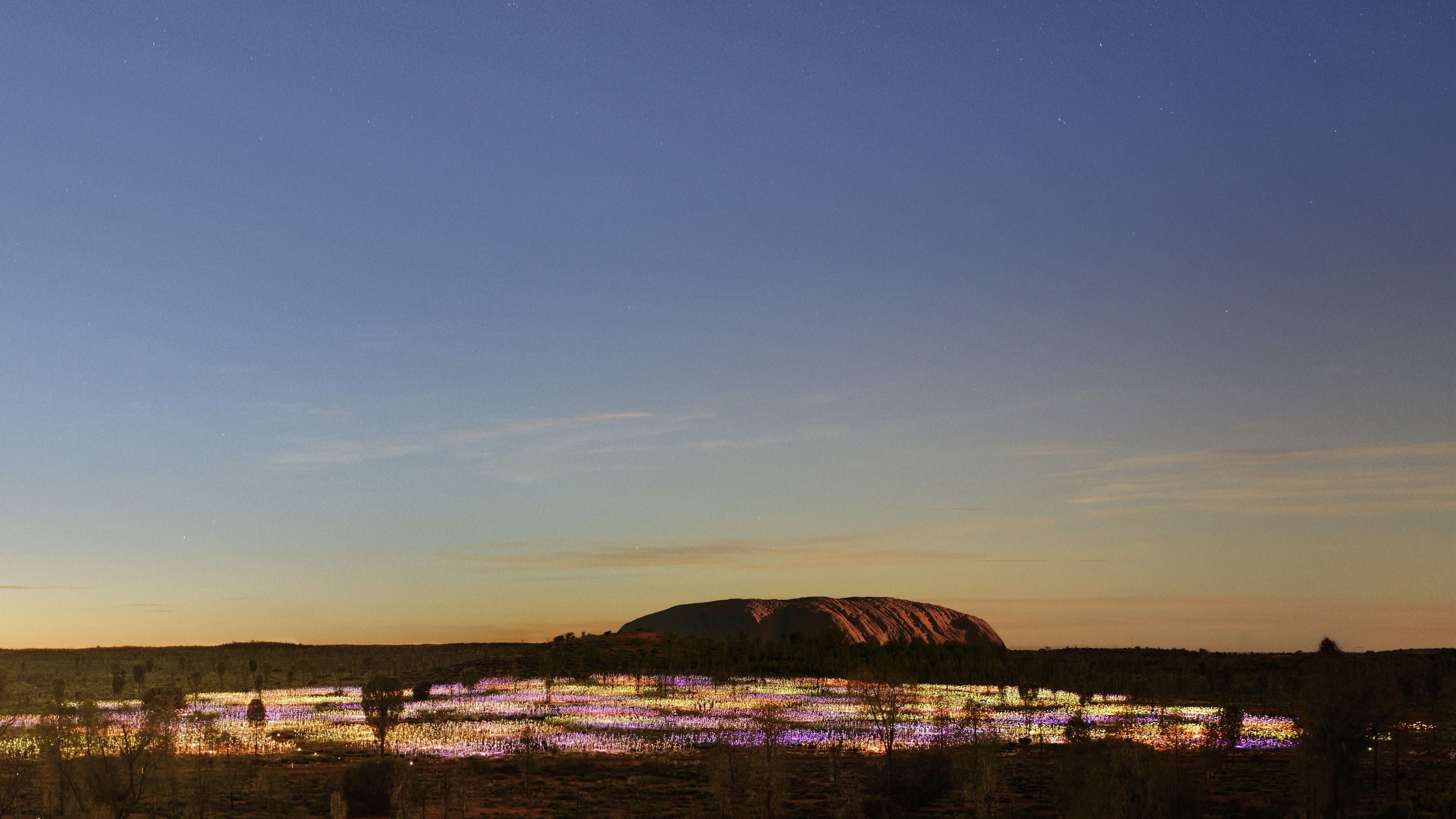 Eintritt zu Field of Light nach Einbruch der Dunkelheit inklusive Rücktransfer 2