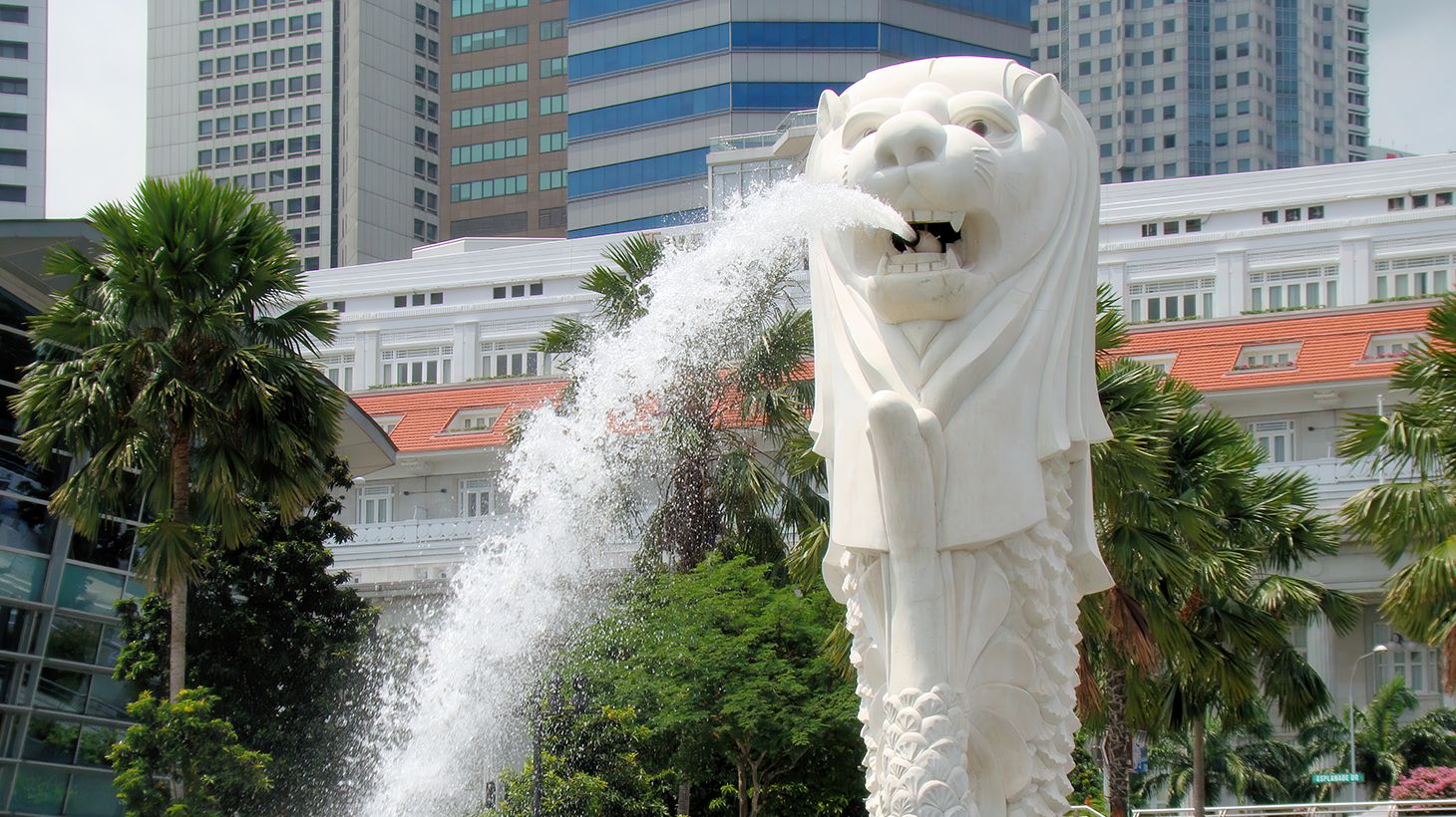 Private Half-Day City Tour with SkyPark Observation Deck, Gardens by the Bay & Return Transfers 3