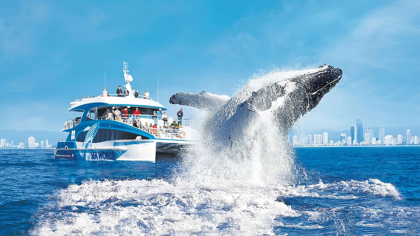 Sea World Humpback Whale Watching Cruise