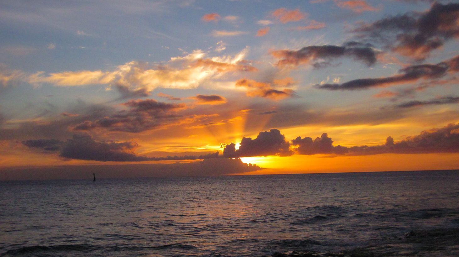 1.5-Hour Hilton Hawaiian Villages Spirit Sunset Cruise with Dinner & Drinks