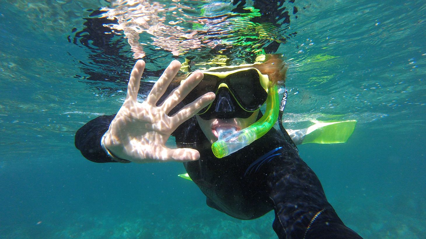 2.5-Hour Manly Snorkel & Headland Walk Eco Tour 1