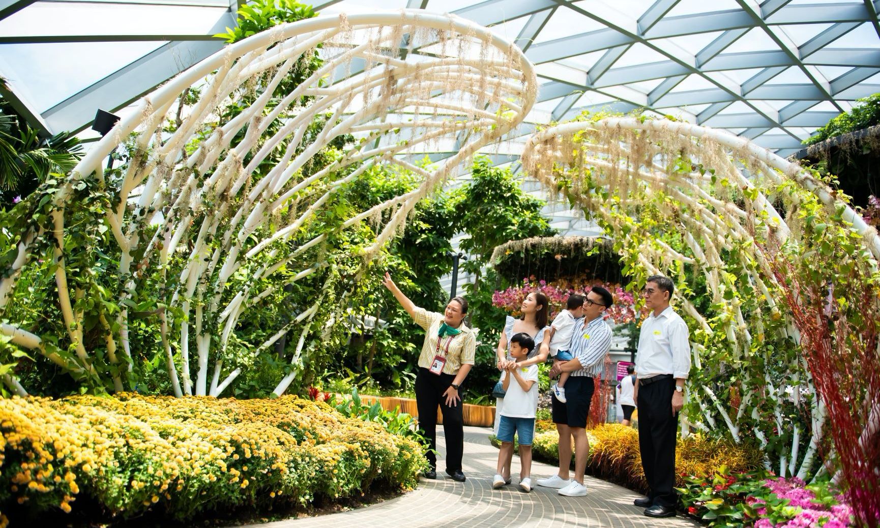 Best of Jewel Changi Airport Tour