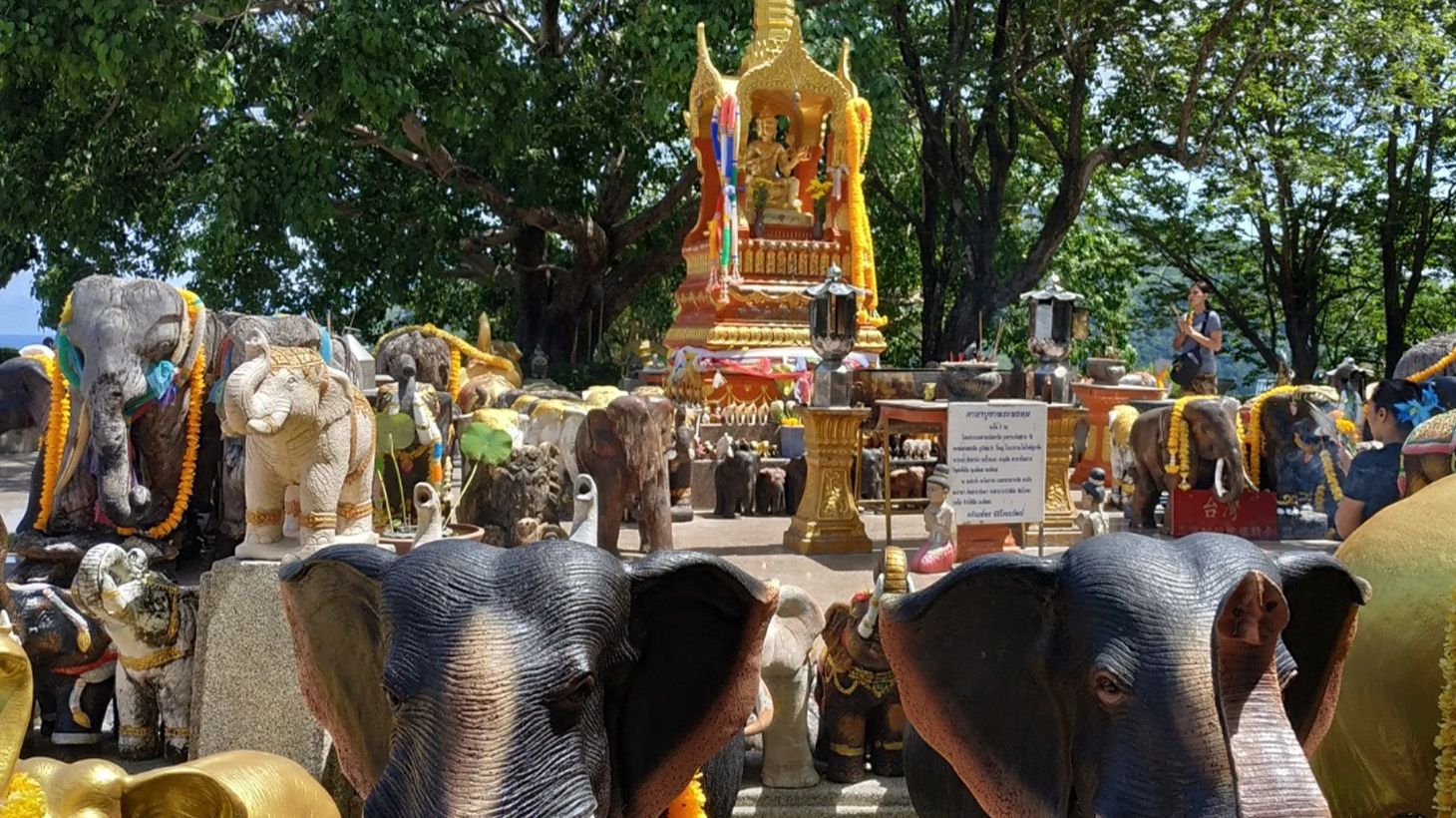 Half-Day Scenic Highlights Tour of Southern Phuket with Big Buddha, Chalong Temple & Hotel Transfers 6