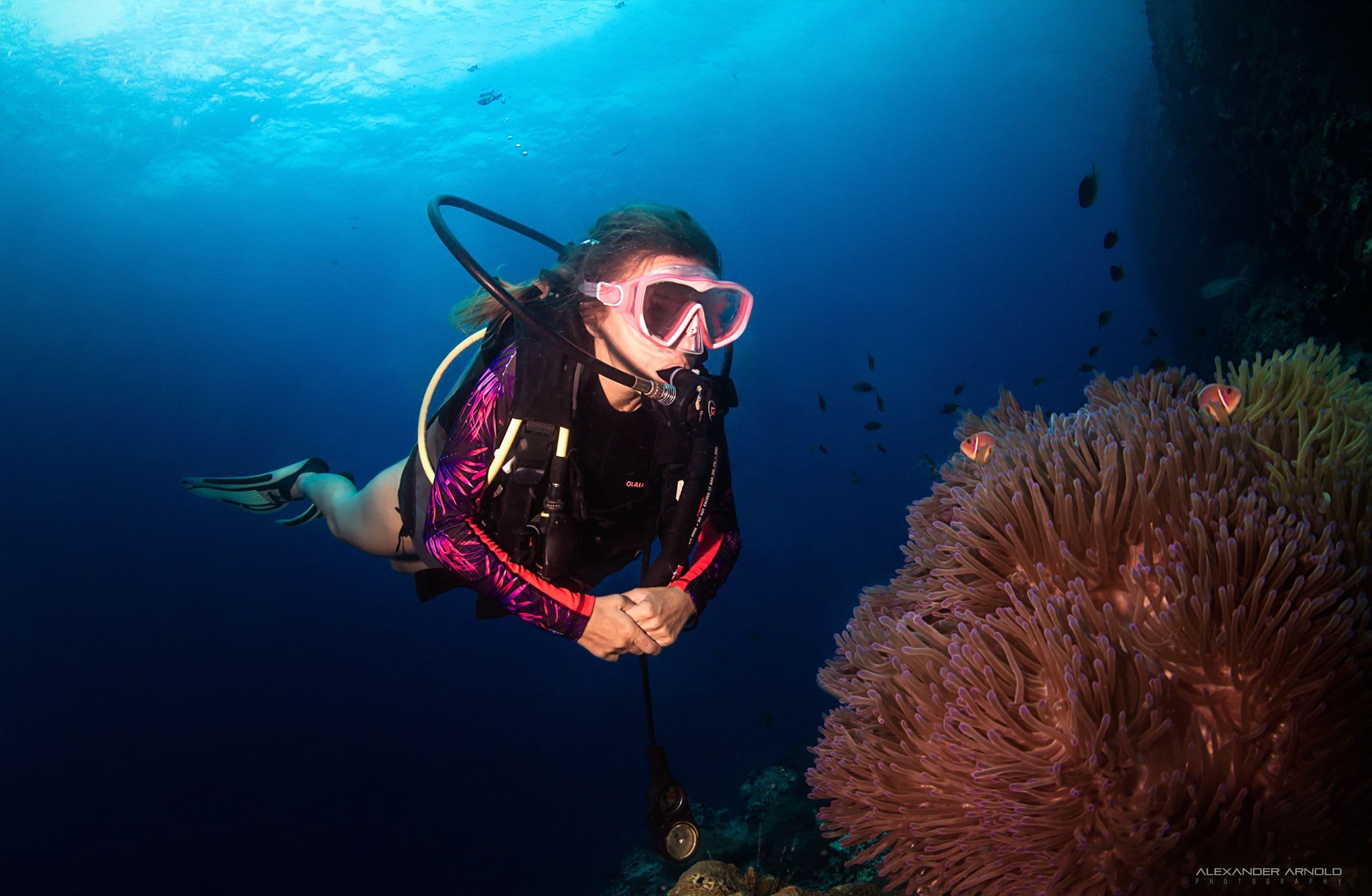 Seascape Elegance: Open Water at Koh Phangan's PADI 5* Dive Center