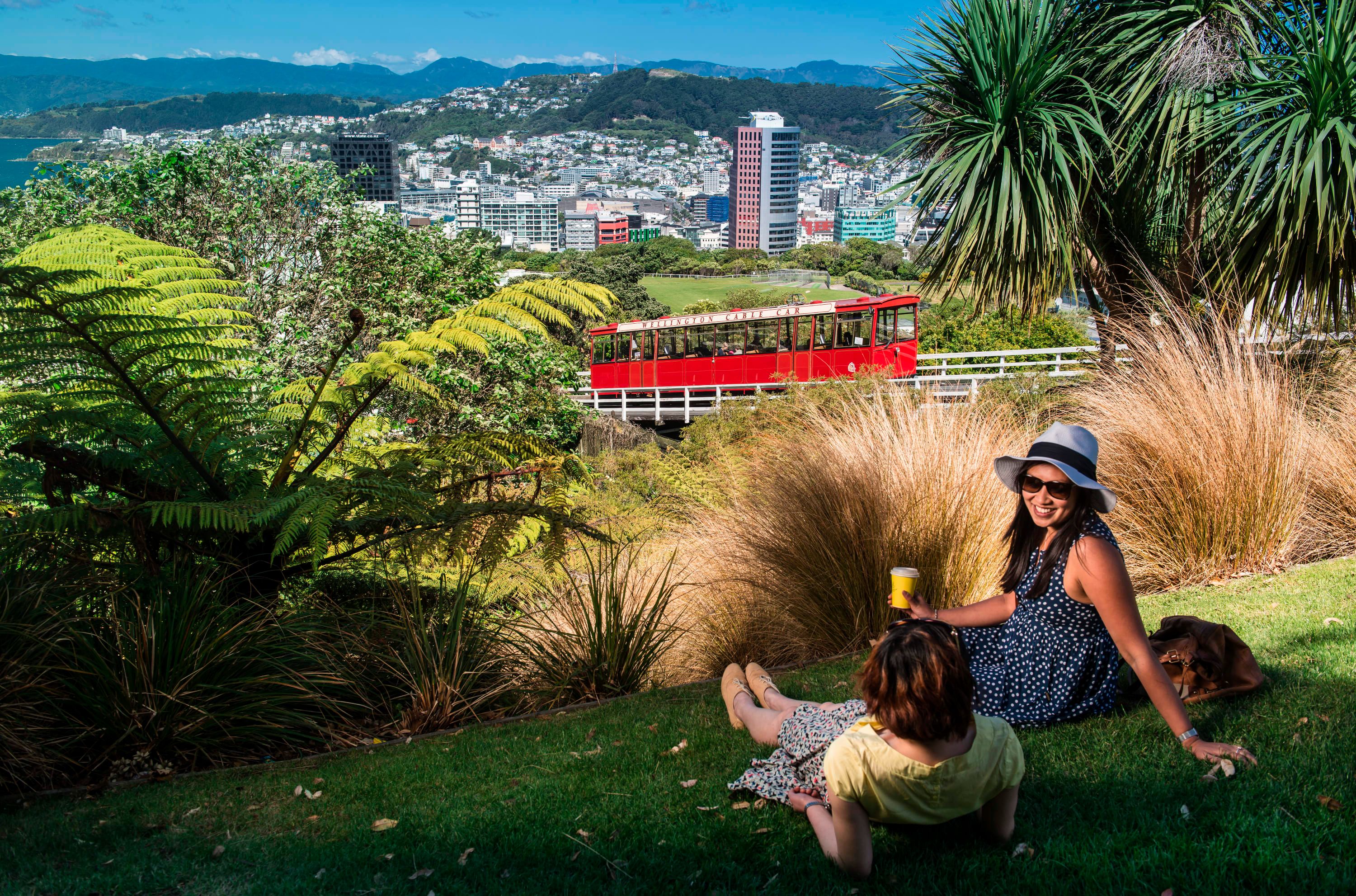 Wellington Half-Day City & Coastal Sightseeing Tour 1