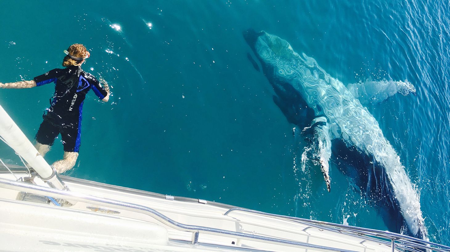 Full-Day K'gari (Fraser Island) Cruise with Return Hotel Transfers & Buffet Lunch 6