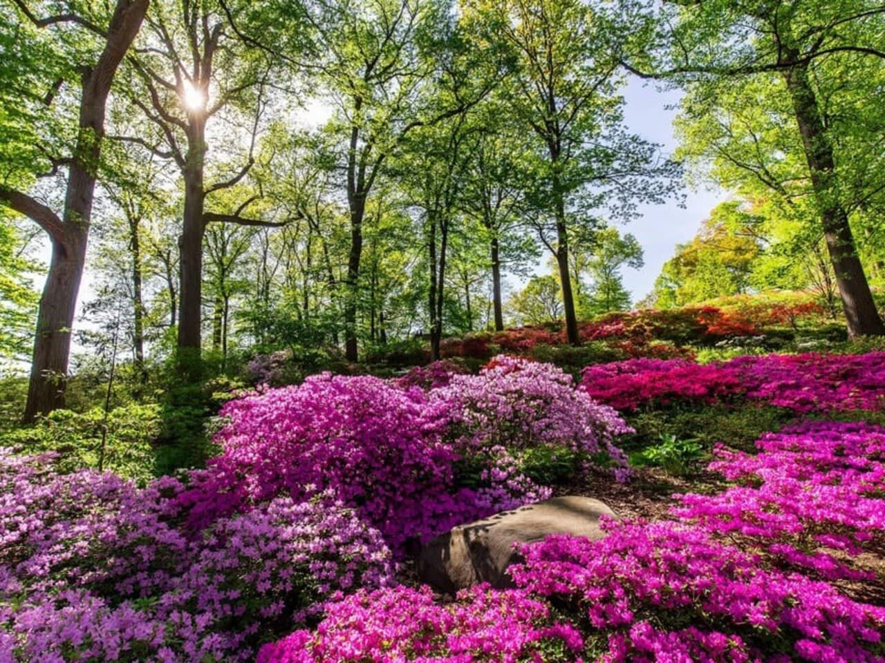 New York Botanical Garden Ticket