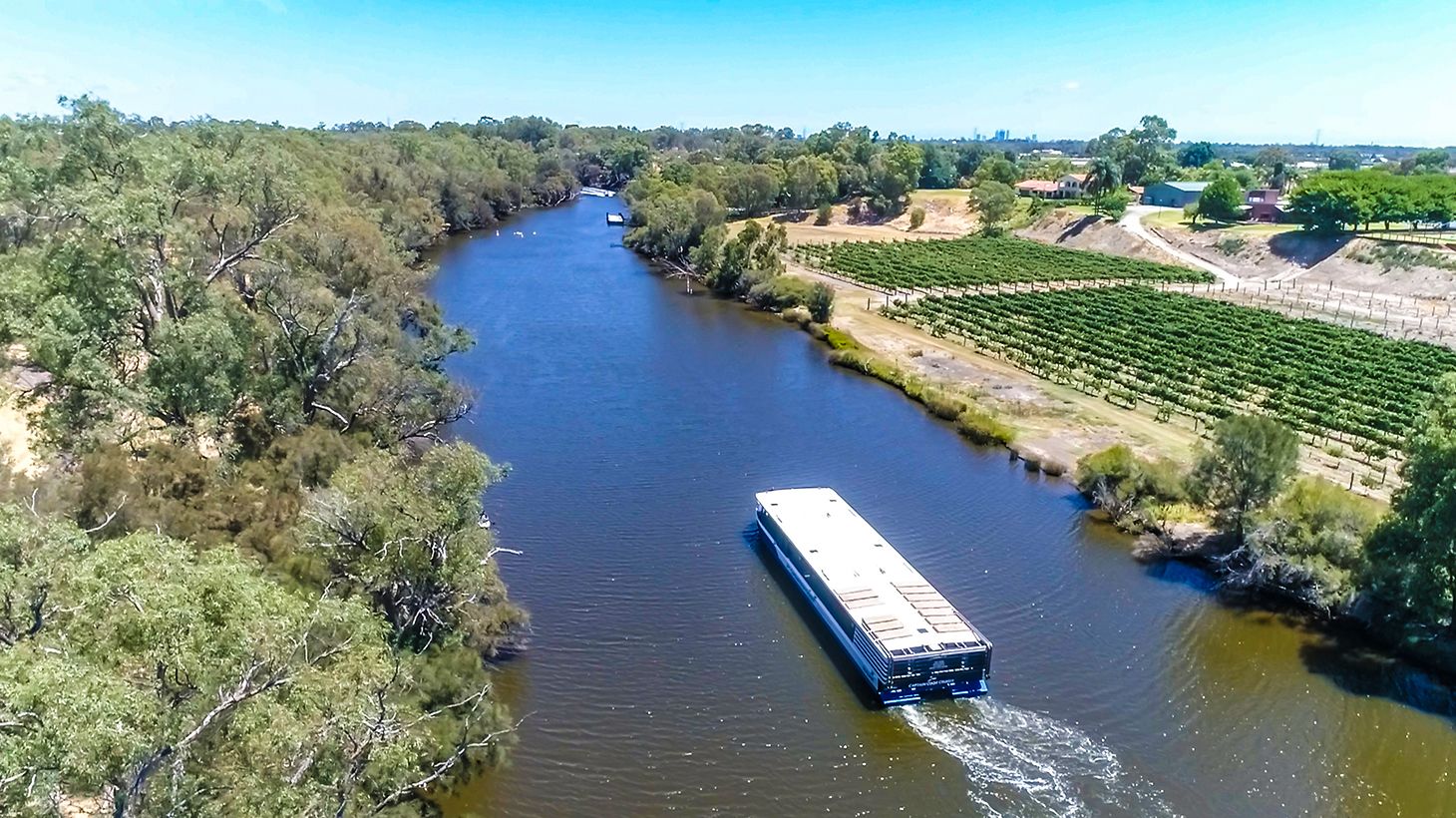 Full-Day Swan Valley Gourmet Wine Cruise with Welcome Drink & Platter Lunch 5