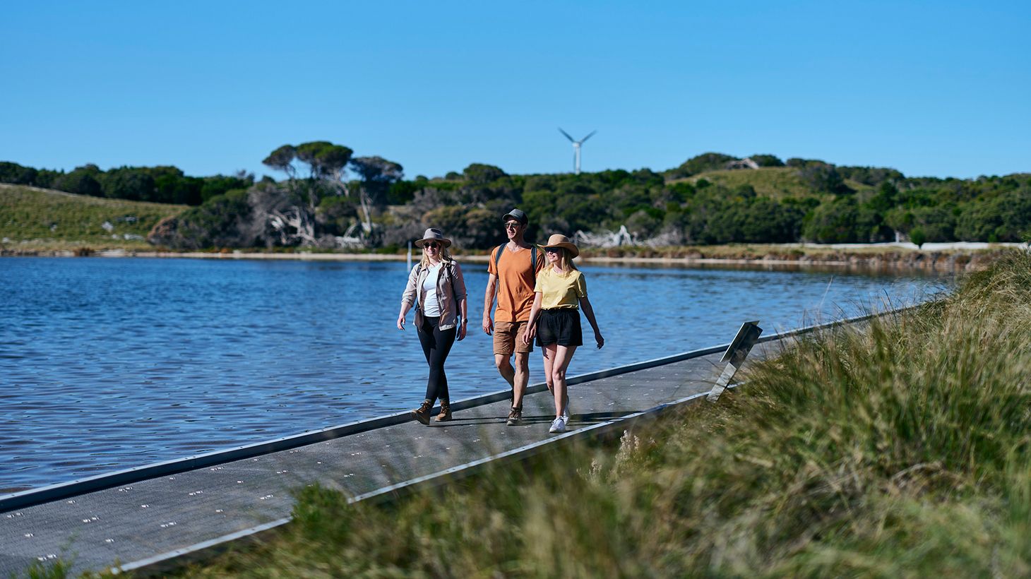 Explore the Wonders of Rottnest on a Two-Hour Eco Walking Tour 6