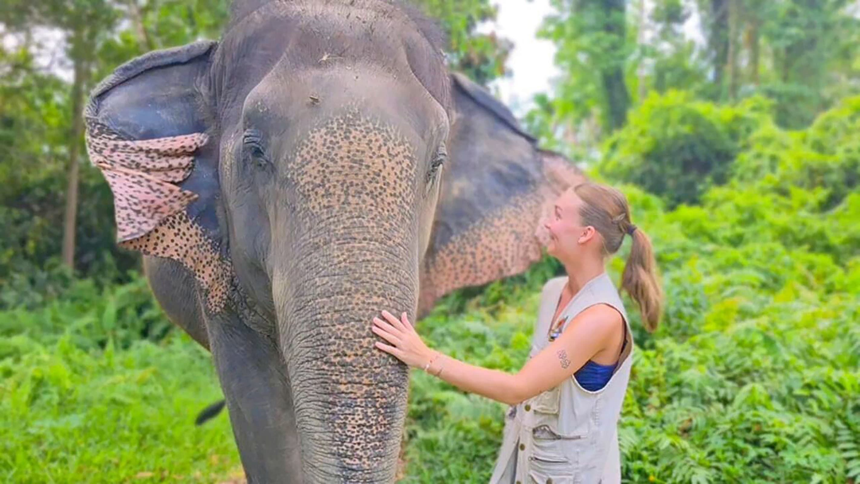 Expérience Elephant World Samui