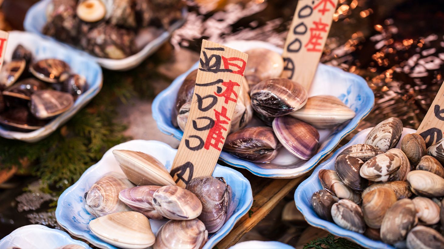 Half-Day Tsukiji Fish Market Tour with Seafood Lunch & Tastings 5