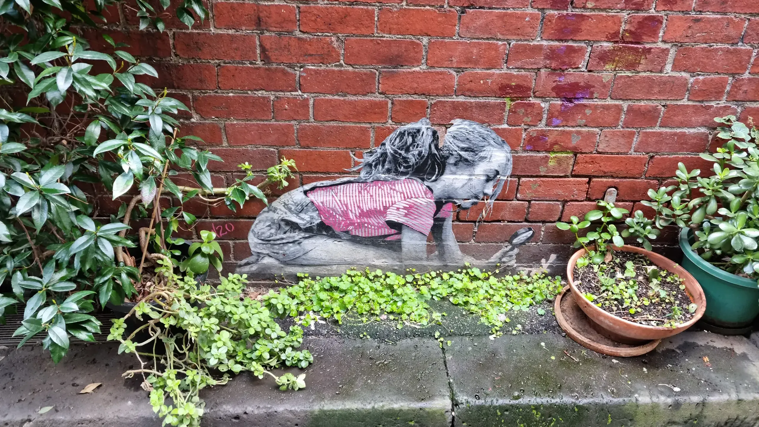 Three-Hour Melbourne Laneways Street Art Walking Tour with Hidden Bar Drink & Snack