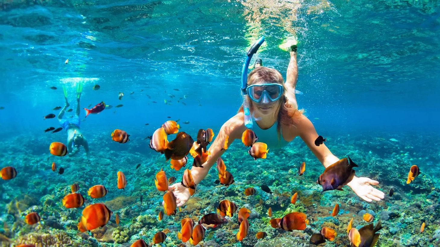 Full-Day Ang Thong National Marine Park Speedboat Tour with Lunch & Return Transfers 5