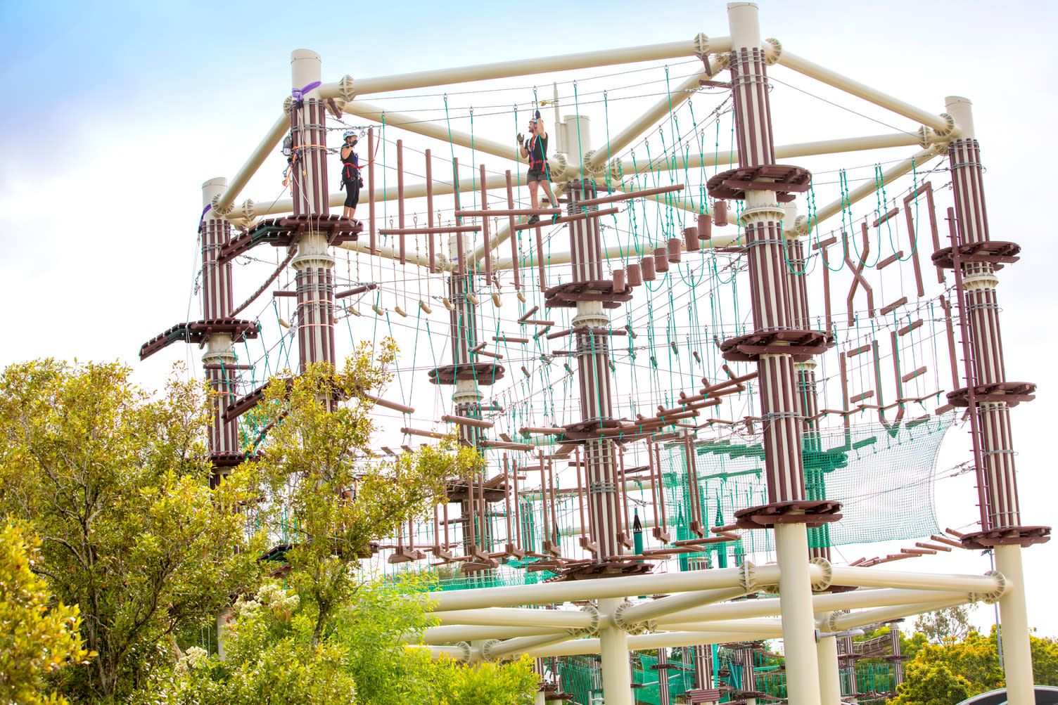 Next Level High Ropes Course in Maroochydore