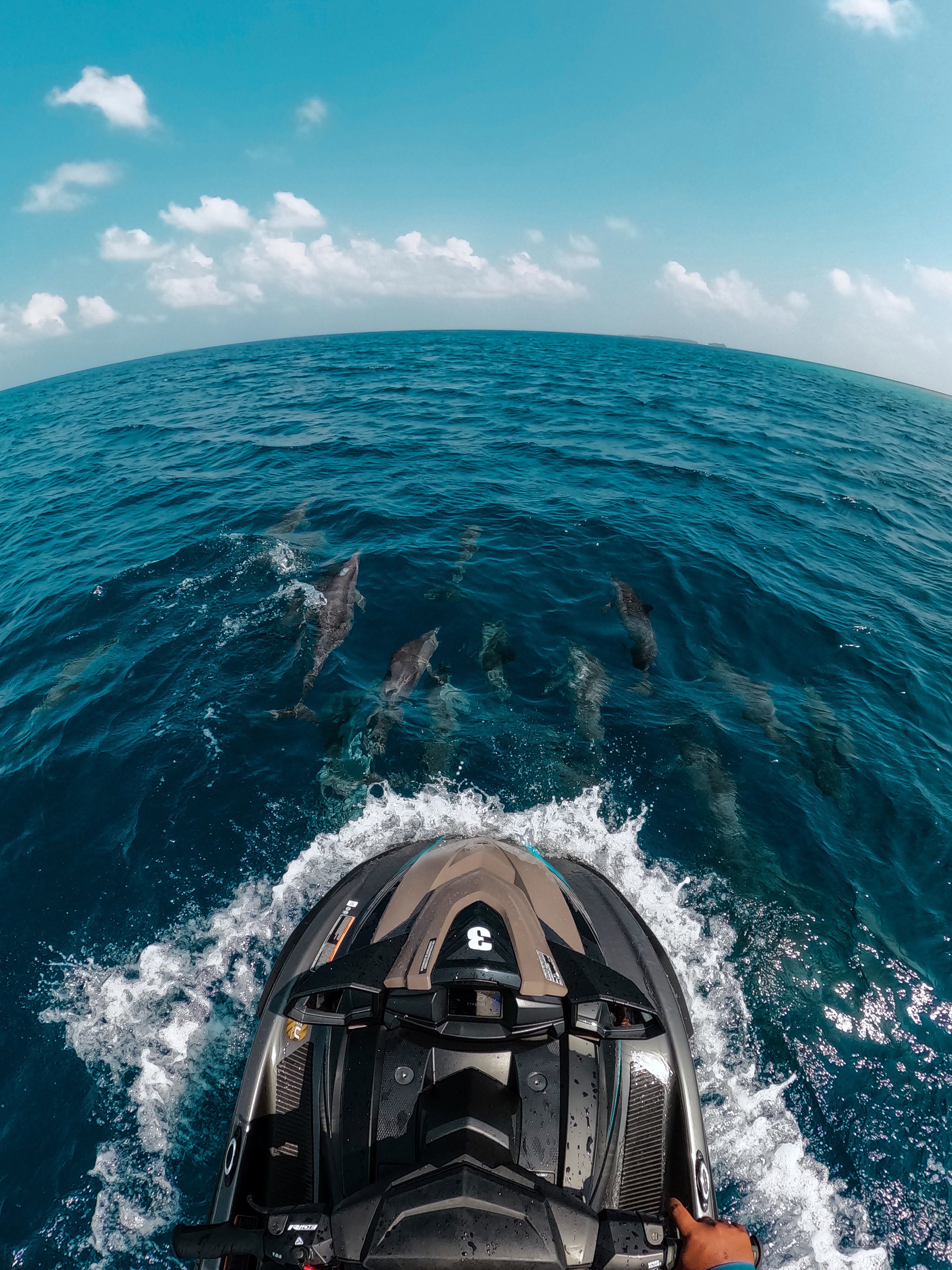 One-Hour Guided Jet Ski Dolphin Encounter from Ifuru Island in the Maldives 5