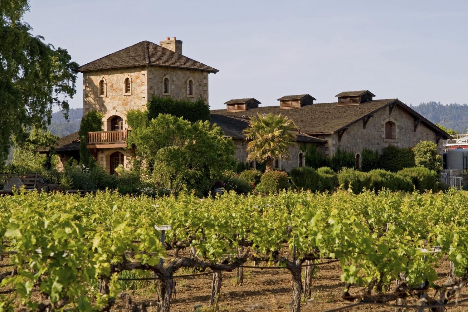 Napa Valley and Sonoma Full Day Wine Tour 2